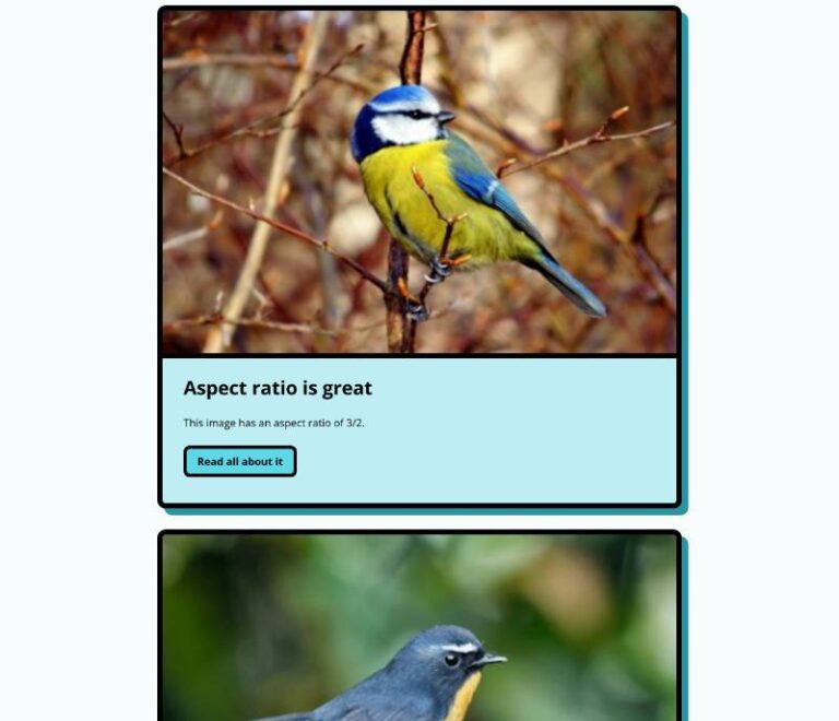 Aspect Ratio CTA Card preview