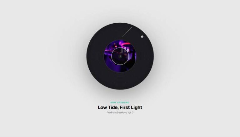 Vinyl Disc Player preview