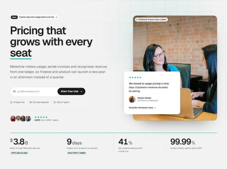SaaS Startup Hero preview