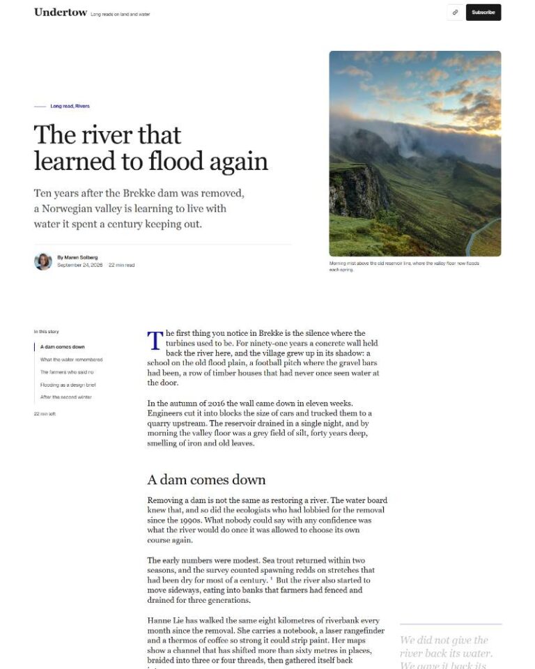 Long Read Article preview
